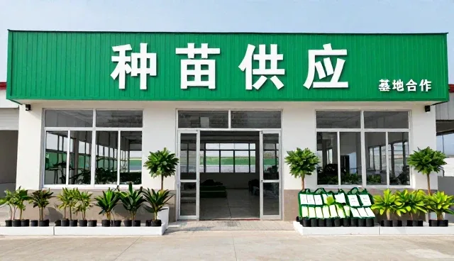 温控技术如何驱动种苗供应业务趋势演进